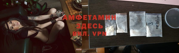 ECSTASY Алзамай