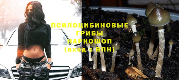 jwh Абаза