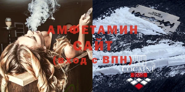 ECSTASY Алзамай