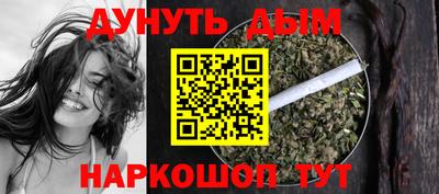 крисы Партизанск