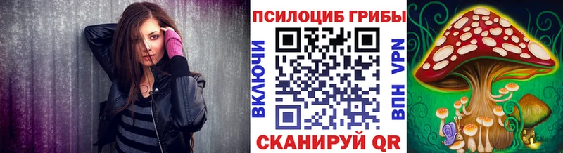 Псилоцибиновые грибы Psilocybe  Фурманов 